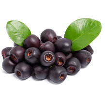 Jamun
